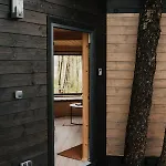 Dziki - Na Drzewach Appartement *