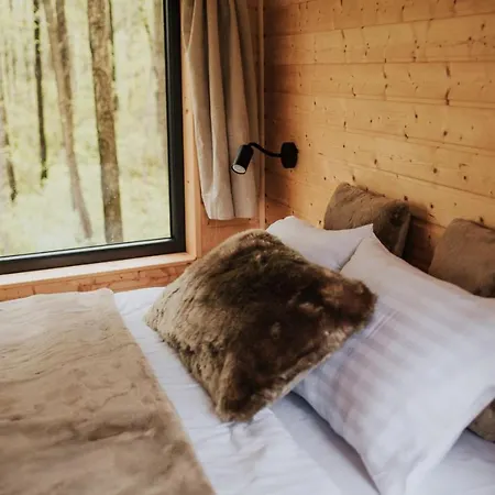 Dziki - Na Drzewach *