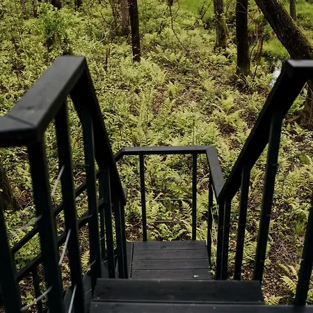 Apartament Dziki - Na Drzewach *