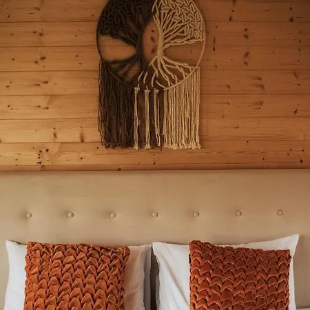 Dziki - Na Drzewach Miłomłyn