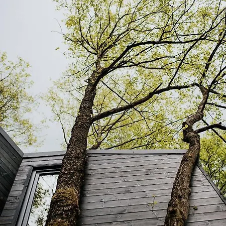 Apartament Dziki - Na Drzewach