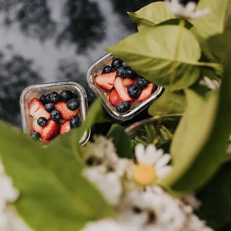 Apartament Dziki - Na Drzewach *