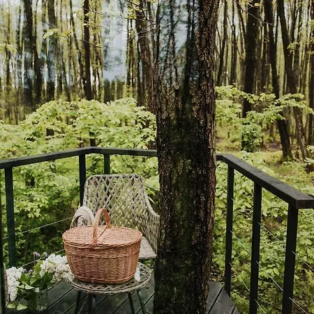 Dziki - Na Drzewach Miłomłyn