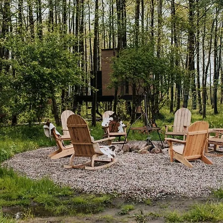 Dziki - Na Drzewach *