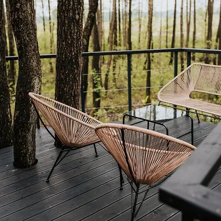 Dziki - Na Drzewach Apartament Miłomłyn