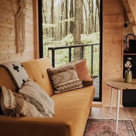 Dziki - Na Drzewach Miłomłyn