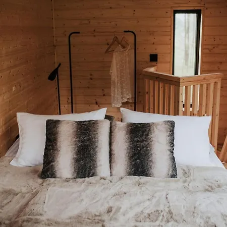 Dziki - Na Drzewach Appartement Miłomłyn