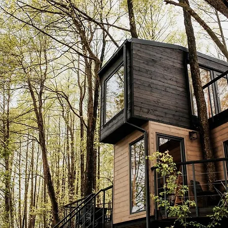 Dziki - Na Drzewach Apartament *