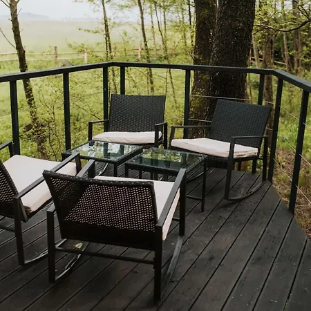 Dziki - Na Drzewach Apartament