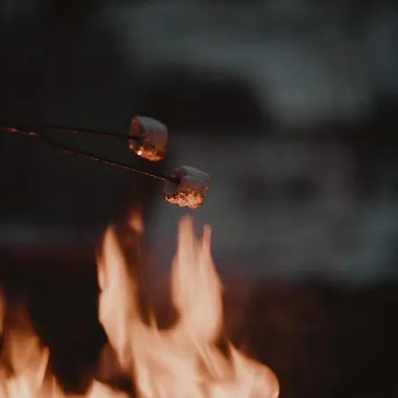 Dziki - Na Drzewach * Miłomłyn