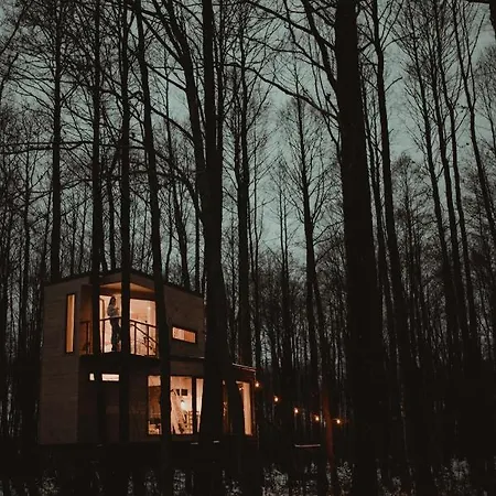 Dziki - Na Drzewach Miłomłyn