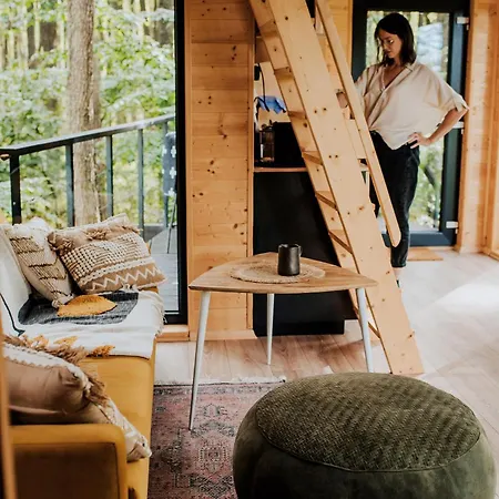 Dziki - Na Drzewach Apartament *