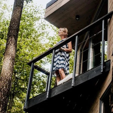 Dziki - Na Drzewach Apartman Miłomłyn