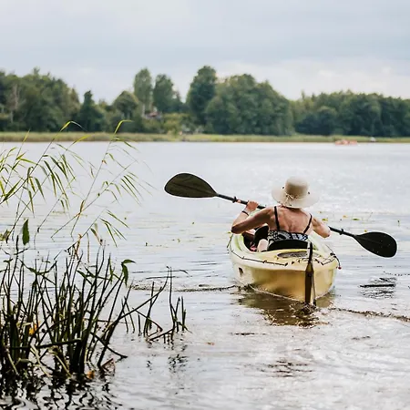 Dziki - Na Drzewach * Miłomłyn