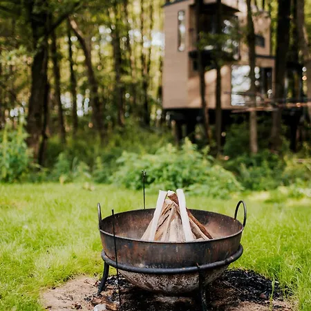 Apartament Dziki - Na Drzewach Miłomłyn