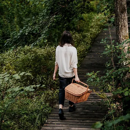 Dziki - Na Drzewach *