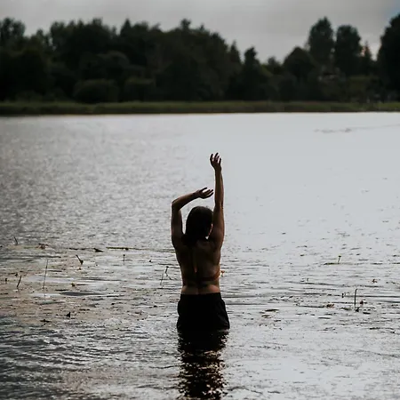 Dziki - Na Drzewach Apartament